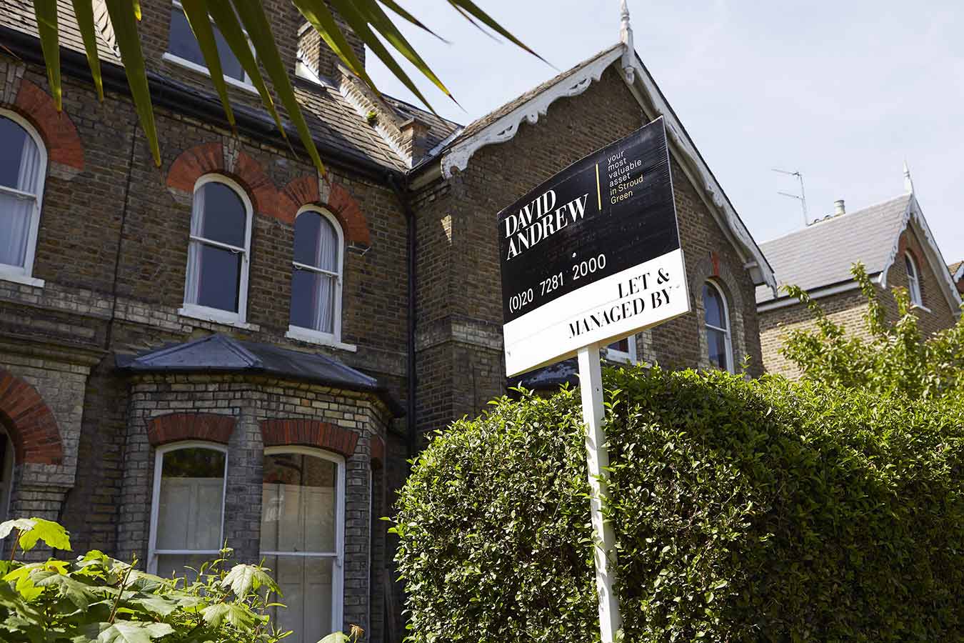 Contact Us David Andrew