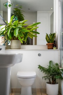 Images for Ashley Road, London