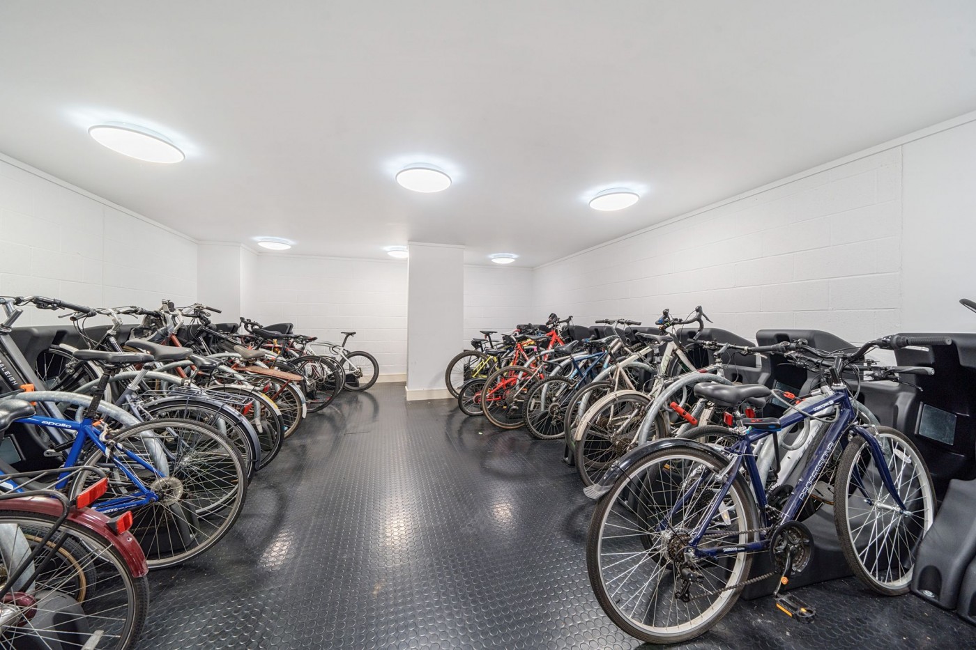 Images for Queensland Road, London, N7 EAID:2092695728 BID:a6721746-bd1f-4561-86df-c186f35b52e2