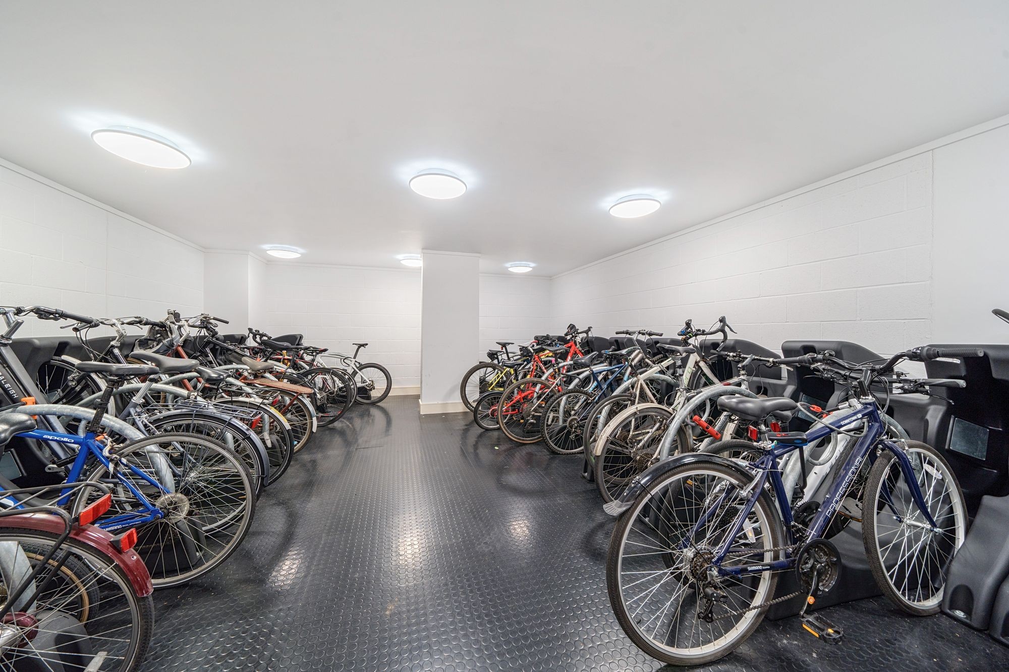 Images for Queensland Road, London, N7 EAID:2092695728 BID:a6721746-bd1f-4561-86df-c186f35b52e2