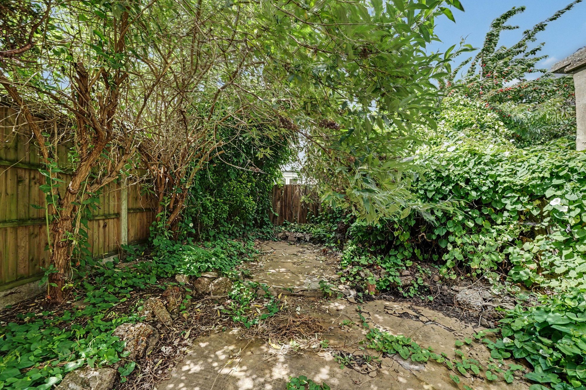 Images for Thorpedale Road, London, N4 EAID:2092695728 BID:d78cdad6-8851-45ca-b966-38a91e6bb6bf