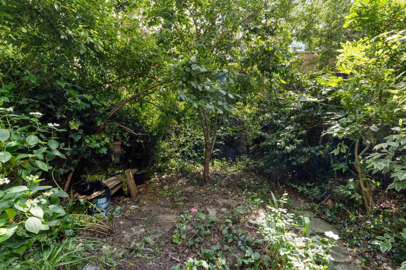 Images for Lonsdale Road, London, W11 EAID:2092695728 BID:03b1b085-2c4d-4c75-8eea-20939b8639ac