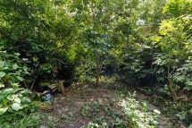 Images for Lonsdale Road, London, W11