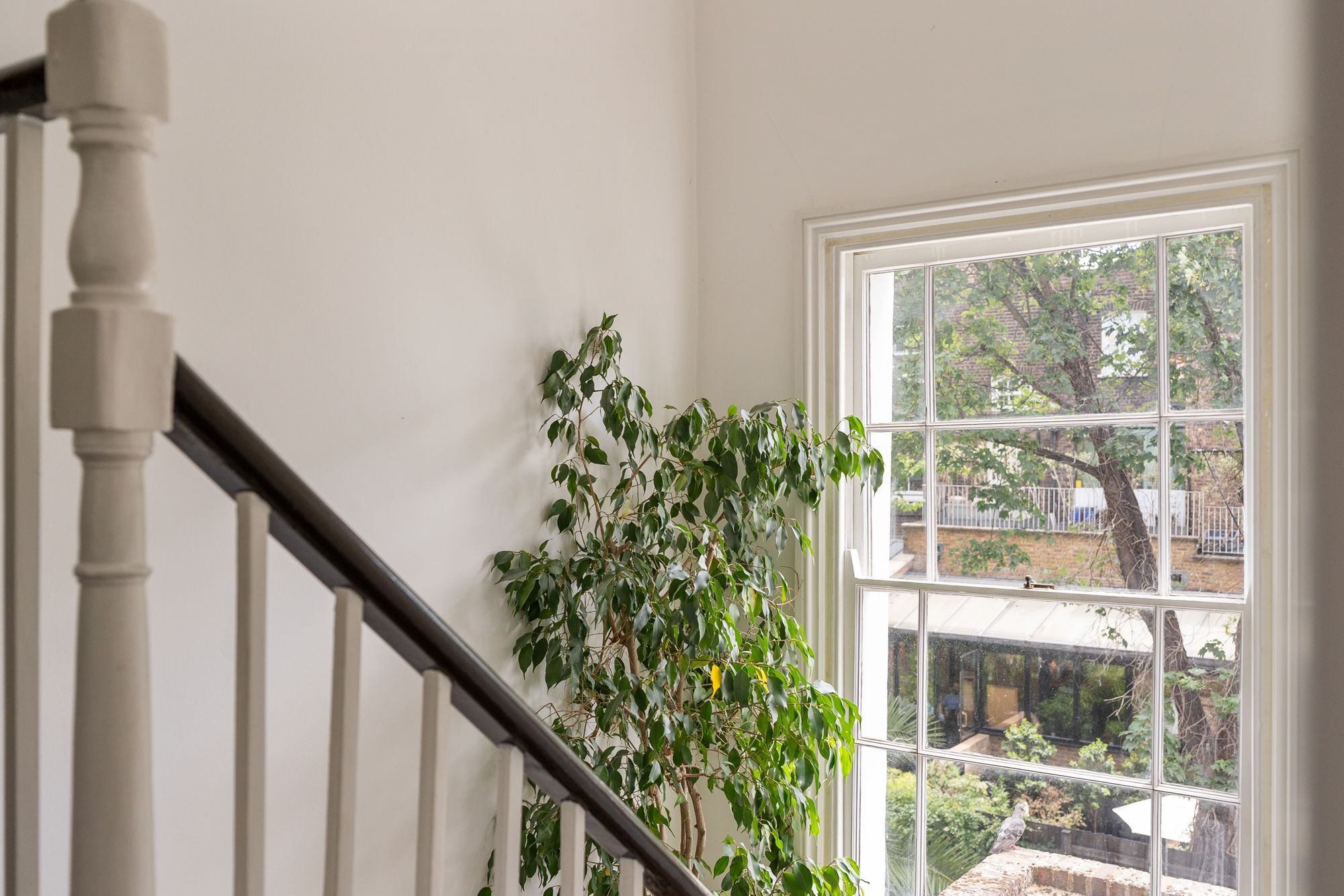 Images for Lonsdale Road, London, W11 EAID:2092695728 BID:03b1b085-2c4d-4c75-8eea-20939b8639ac