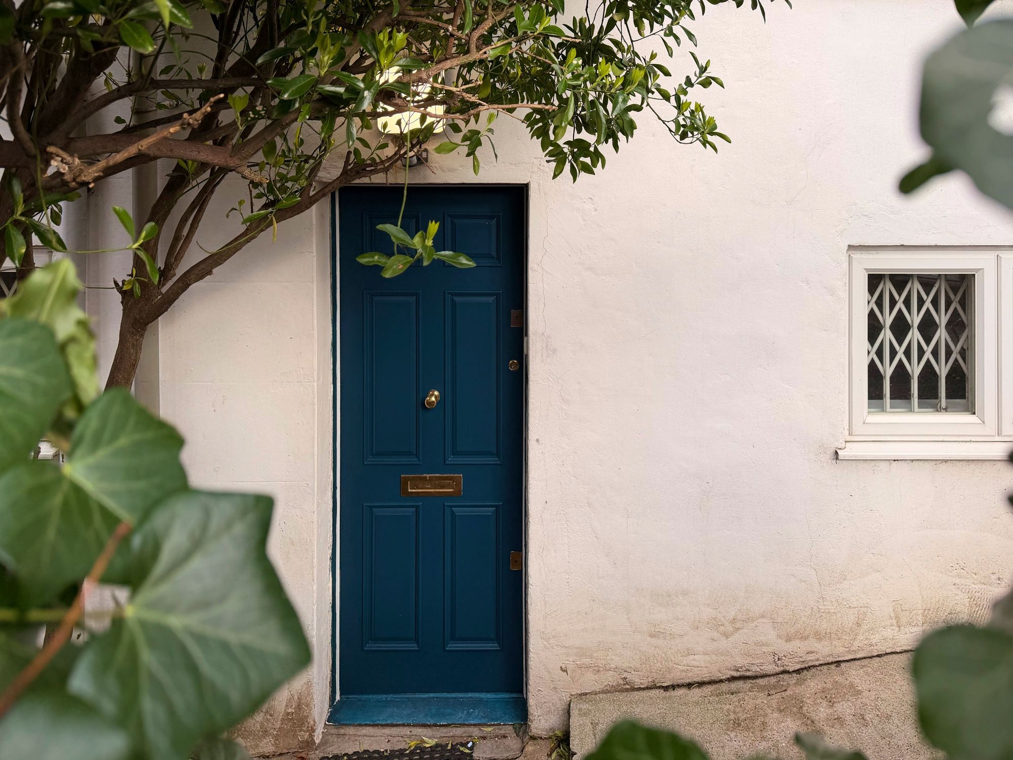 Images for Tufnell Park Road, London, N7 EAID:2092695728 BID:a6721746-bd1f-4561-86df-c186f35b52e2