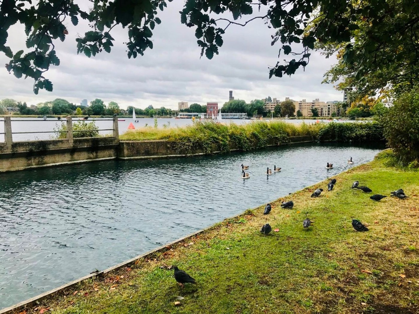 Images for Green Lanes Walk, Hythe House, N4 EAID:2092695728 BID:03b1b085-2c4d-4c75-8eea-20939b8639ac