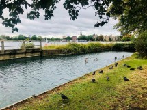 Images for Green Lanes Walk, Hythe House, N4