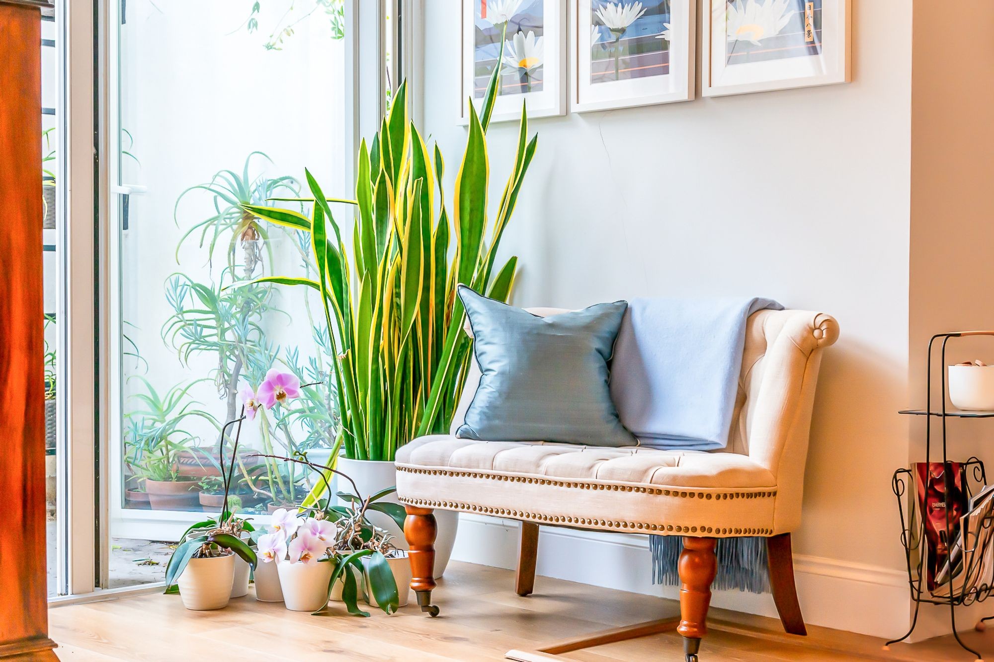 Images for Queens Drive, London, N4 EAID:2092695728 BID:03b1b085-2c4d-4c75-8eea-20939b8639ac