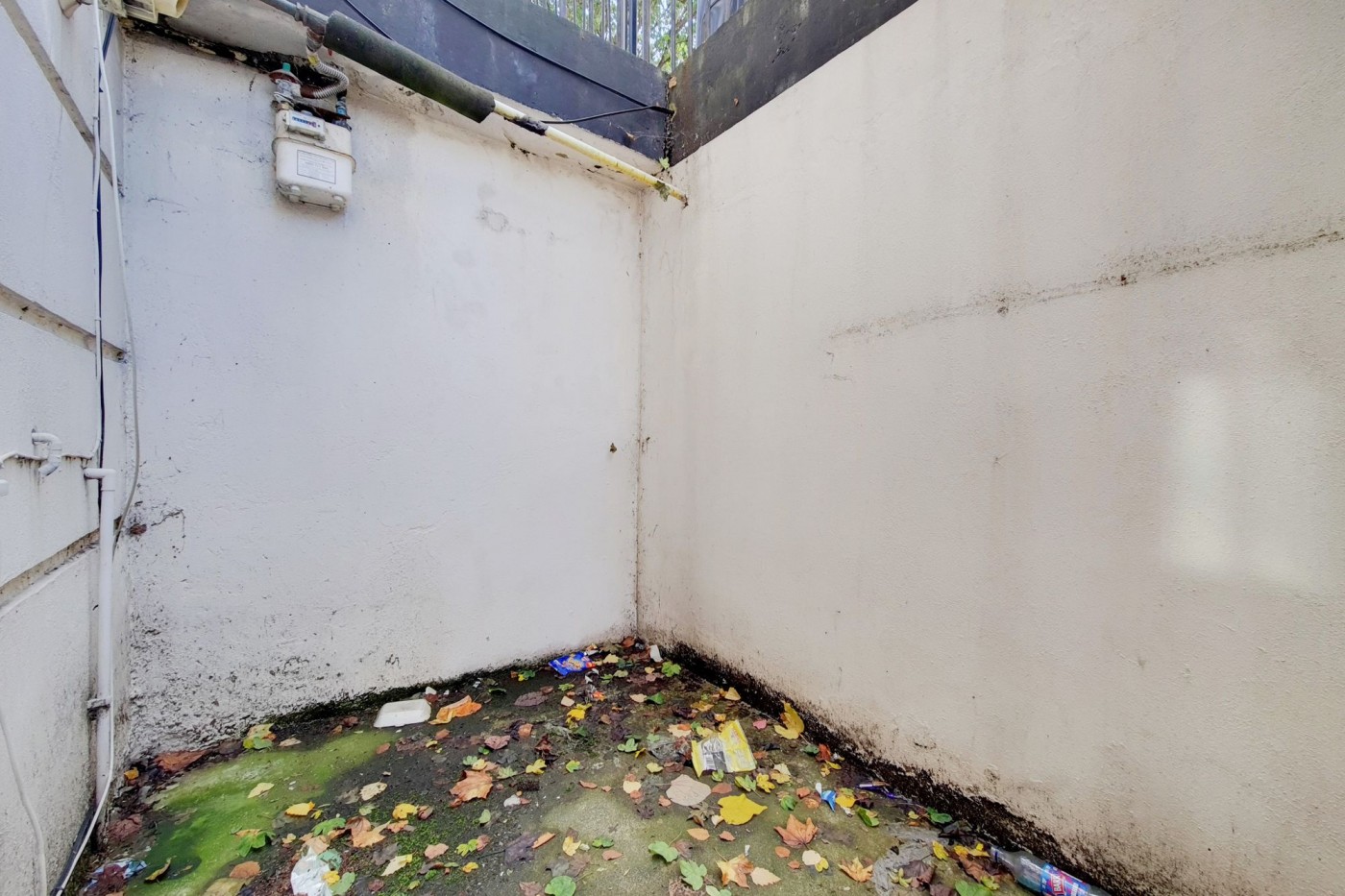 Images for Allen Road, London, N16 EAID:2092695728 BID:03b1b085-2c4d-4c75-8eea-20939b8639ac