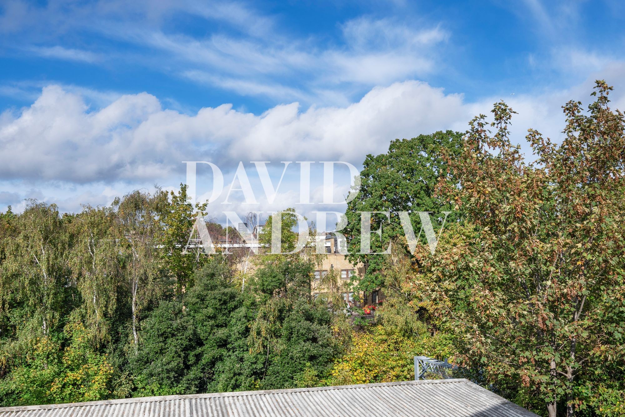 Images for Grenville Road, London, N19 EAID:2092695728 BID:d78cdad6-8851-45ca-b966-38a91e6bb6bf