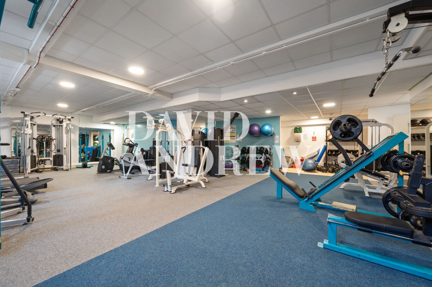 Images for Manor Gardens, London, N7 EAID:2092695728 BID:a6721746-bd1f-4561-86df-c186f35b52e2