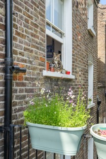 Images for Regina Road, London, N4