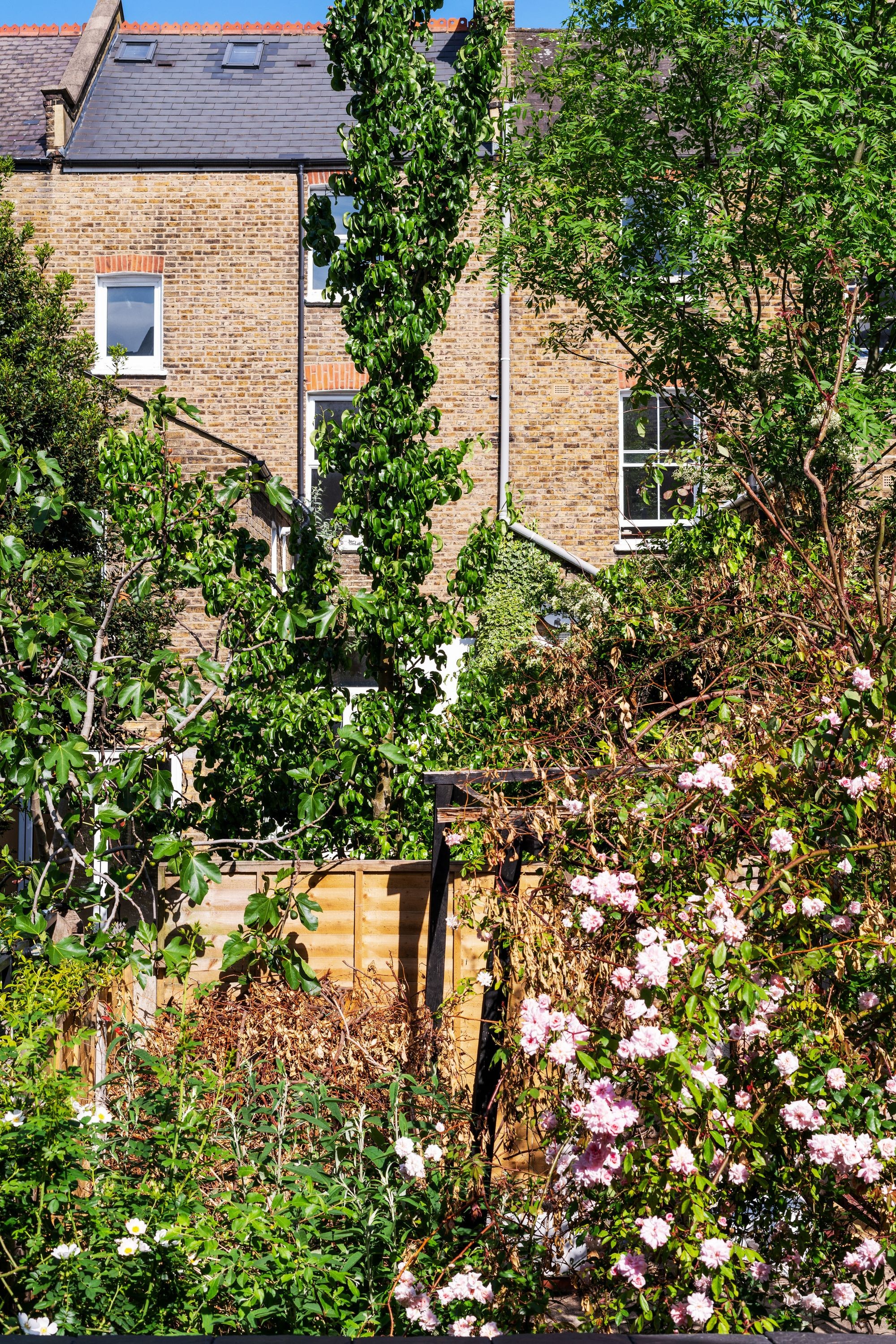 Images for Albert Road, London, N4 EAID:2092695728 BID:d78cdad6-8851-45ca-b966-38a91e6bb6bf