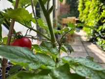 Images for Fairmead Road, London, N19