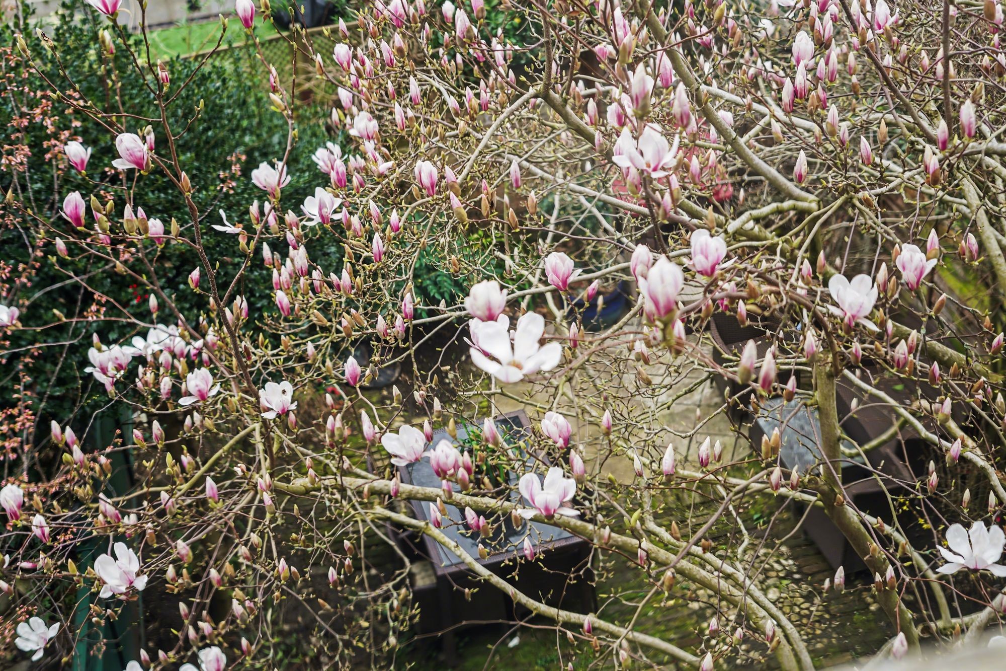 Images for Northolme Road, London, N5 EAID:2092695728 BID:03b1b085-2c4d-4c75-8eea-20939b8639ac