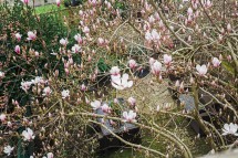 Images for Northolme Road, London, N5