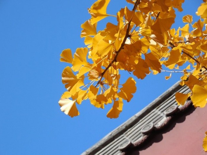 Reasons to sell your home this Autumn