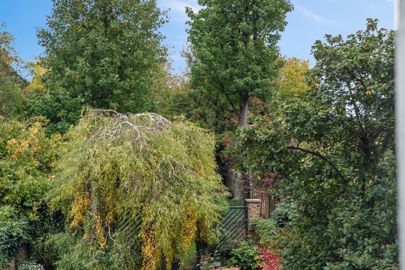 Images for Ferme Park Road, London, N4 EAID:2092695728 BID:d78cdad6-8851-45ca-b966-38a91e6bb6bf