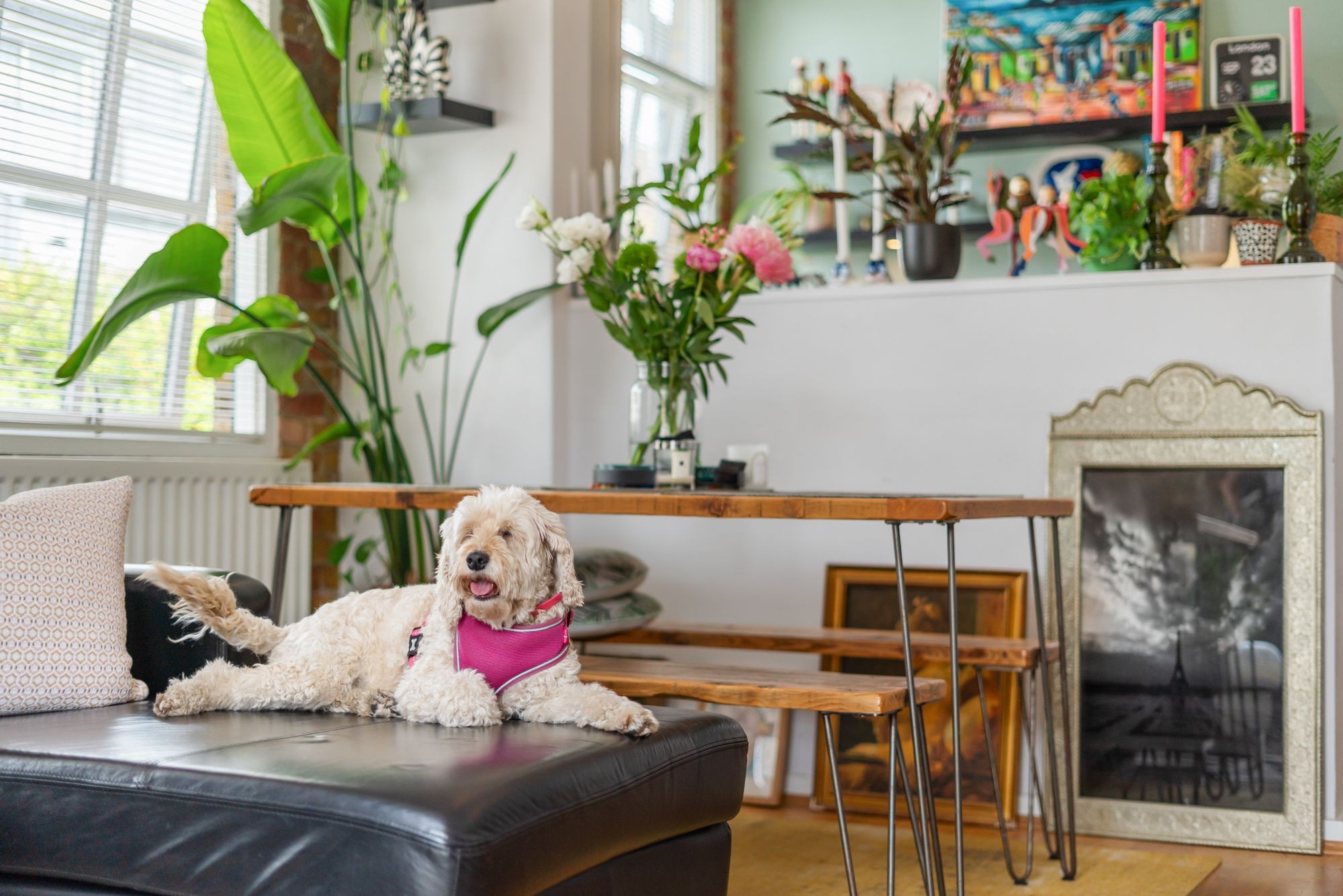 Images for Carysfort Road, London, N16 EAID:2092695728 BID:03b1b085-2c4d-4c75-8eea-20939b8639ac