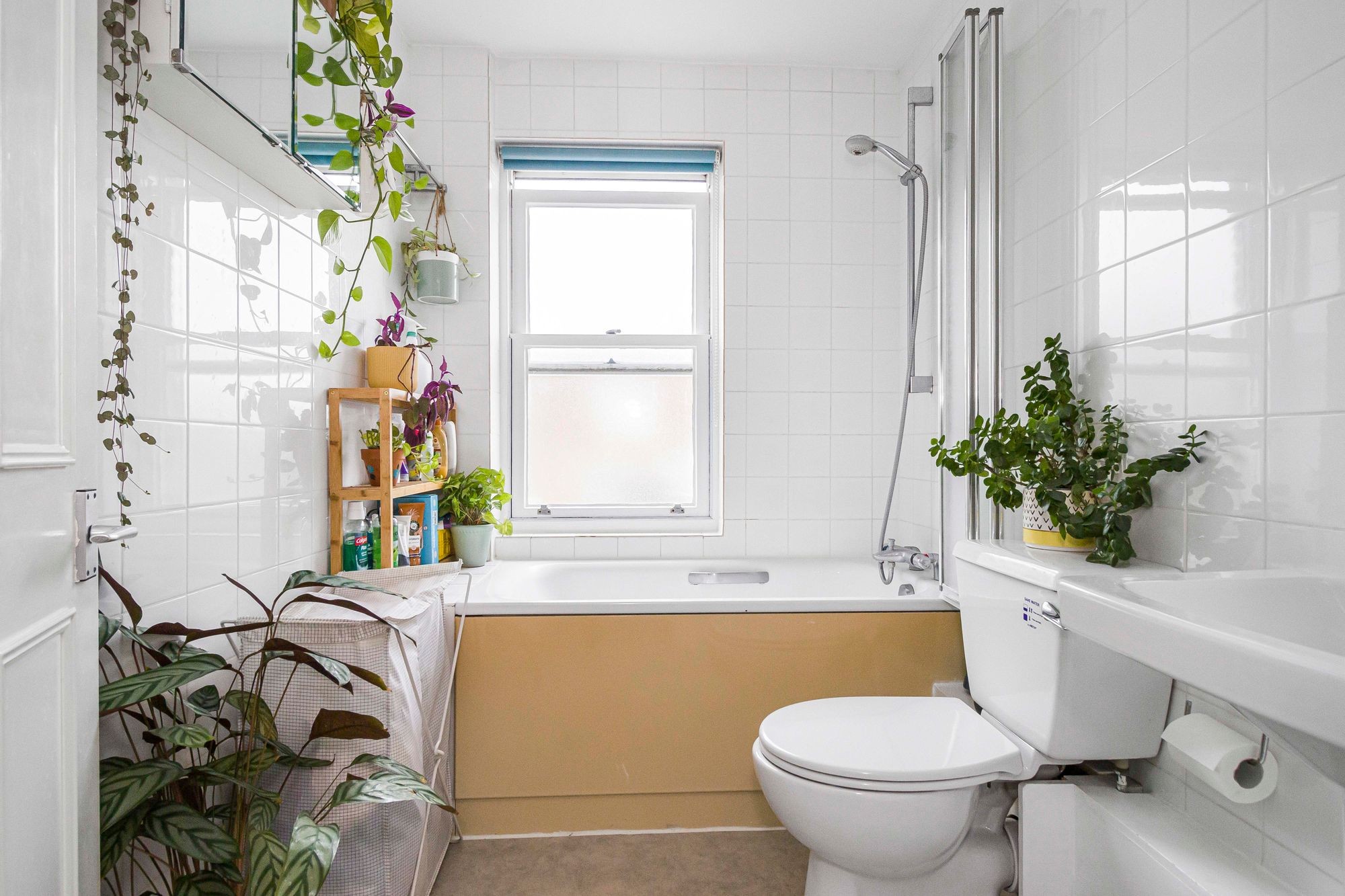 Images for Grenville Road, London, N19 EAID:2092695728 BID:d78cdad6-8851-45ca-b966-38a91e6bb6bf